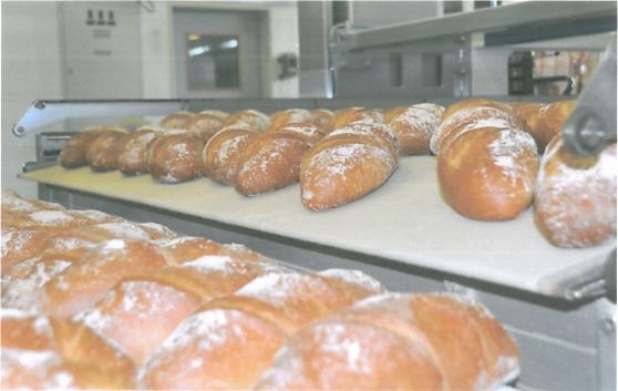 Conti bake be 6570 akcesoria piekarnicze Bänder für Bäckereien CTP Bake Bäckereibänder: